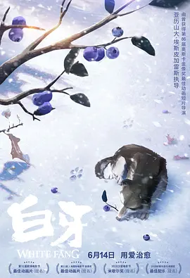 国产视频h